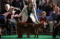 Crufts2011 792